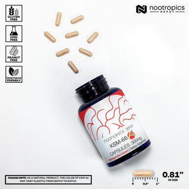 Nootropics Depot KSM-66 Ashwagan Capsules 300mg 90 Count Withania somnifera Extract Ayurvedic Herb Adaptogen Supplement Promote Relaxation