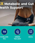 NewRhythm Akkermansia Muciniphila Probiotic 10 Billion TFU Pasteurized Maximum Stability Green Tea Leaf EGCG GLP-1 Production Metabolic Health Gut Immunity for Women & Men 60 Caps