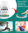 Liposomal Ampk Activator 2000 Mg - High Bioavailability Berberine Hcl,Dim,Milk Thistle,And Cinnamon Bark Capsule 6-In-1 Ampk Supplements For Antioxidant Support And Cellular Regulation, 60 Softgels