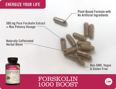 NatureWise Premium Forskolin 1000 Boost Highest Concentration Pure Forskolin for Weight Maintenance Natural Thermogenic Blend with Green Tea Yerba Mate Guarana Coleus Forskohlii 1 Month Supply