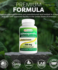 Best Naturals 2 Pack Ashwagandha Capsules For Relaxing Stress And Mood 500 Mg 120 Count (Total 240 Capsules)