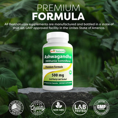 Best Naturals 2 Pack Ashwagandha Capsules For Relaxing Stress And Mood 500 Mg 120 Count (Total 240 Capsules)