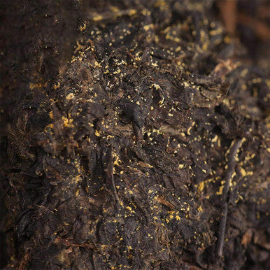 Fullchea - / Fucha Tea Brick - Dark Tea Loose Leaf - Golden Flower Tea - Heicha From Hunan Anhua - Aids Digestion - 11.21oz / 318g