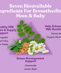 Eu Natural Nourish Lactation Supplement - Postpartum Support for Healthy Milk Flow & Production - Fenugreek Capsules for Women with Goat's Rue Milk Thistle Fennel Seed & Organic Moringa 60 Vegan Soft Capsules