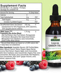 Nature'S Answer Green Tea with Orac Berry Flavor 2-Fluid Ounces
