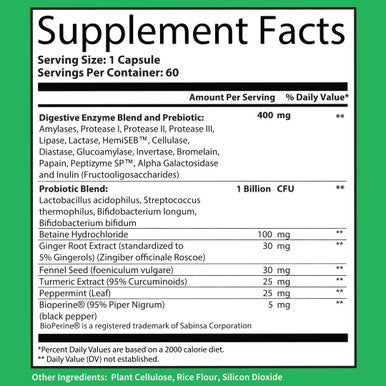 Super Enzymes Supplement 15 Vegan PlantBased Digestive Enzymes with Prebiotics Probiotics Bioperine Supports Gut Health Gluten Digestion Lactose Absorption Leaky Gut 60 Veggie Capsules