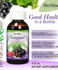 Herbion Naturals Elderberry Syrup Healthy Immune System for Adults Children 1 Year Honey sweetened with Natural Raspberry Flavor No Artificial Ingredients Made in USA 4 FL Oz