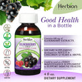 Herbion Naturals Elderberry Syrup Healthy Immune System for Adults Children 1 Year Honey sweetened with Natural Raspberry Flavor No Artificial Ingredients Made in USA 4 FL Oz