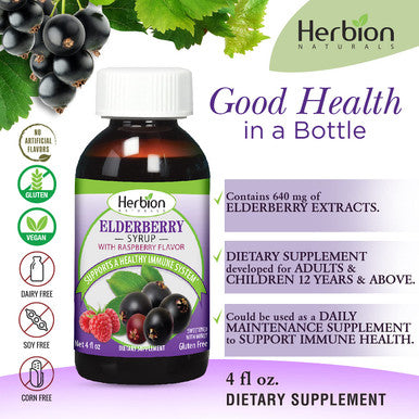 Herbion Naturals Elderberry Syrup Healthy Immune System for Adults Children 1 Year Honey sweetened with Natural Raspberry Flavor No Artificial Ingredients Made in USA 4 FL Oz