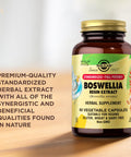 Solgar Boswellia Resin Extract Vegetable Caps 60 Ct