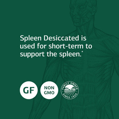 Standard Process Spleen Desiccated - Whole Food Immune Support, Spleen And Healthy Blood - Gluten Free - 90 Tablets