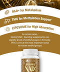 Nad Supplement 1500Mg, Liposomal Nad+ Supplement With Tmg, 98%+ Absorption, Pure Nad Plus, Non-Gmo Aging Defense, Cellular Energy, Heart & Brain Function, Longevity, 120 Softgels