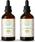 Lungwort B120 (2pcs) Alcohol-Free Herbal Extract Tincture, Super-Concentrated Lungwort (Pulmonaria officinalis) Dried Leaf (2x4 fl oz)