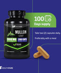 Healthfare Mullein Leaf Capsules | 3000Mg | 200 Count | Support Lung Cleanse & Respiratory Health | Max Potency Formula | Non-Gmo And Gluten-Free