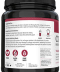 NatureWise Mixed Berry Vegan Collagen Booster Support for Nourished Skin Hair Joints and Bones with Vitamin C Vitamin E and Herbal Ingredients Packaging May Vary 9.2 oz 15 Servings
