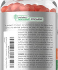 Horbaach Ashwagandha Gummies For Women And Men 60 Count Vegan, Non-Gmo, Gluten Supplement Tropical Flavor