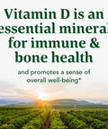 MegaFood Vitamin D3 1000 Iu (25 Mcg) - Immune Support Supplement - Bone Health - With Easily-Absorbed Vitamin D3 Plus Real Food - Non-Gmo Vegetarian - Made Without 9 Food Allergens - 60 Tabs
