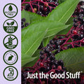 Nature'S Answer Sambucus Mega Gummies 7x (30 Gummies)