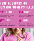 Left Coast Performance Beef Organ Supplement for Women - Beef Liver Kidney Heart and Uterus Tissue Supports Women's Overall Energy and Health - Pasture Raised in New Zealand - No Fillers or Flow Agents - 120 Capsules