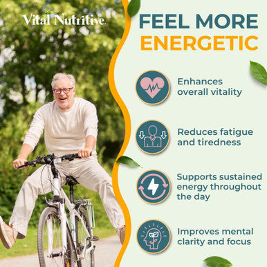 Vital Gut Health 4In1 Formula With Apple Cider Vinegar, Prebiotics & Probiotics, Digestive Enzymes For Strong Immunity Support And Complete Gut And Digestion Support