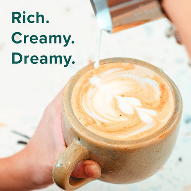 Chocolate Collagen and Vanilla Collagen Dream Team Bundle