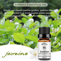 Yethious 2 Pack Rose Jasmine Essential Oil Set 100% Pure Natural Aromatherapy Massage Oils for Diffuser, Humidifier