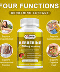 Alliwise Berberine Supplement - 1000Mg Berberine With Ceylon Cinnamon, Milk Thistle & Turmeric Extract, Organic Herbal Formula Support Gastrointestinal Function, Cardiovascular & Glucose Metabolism