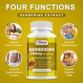Alliwise Berberine Supplement - 1000Mg Berberine With Ceylon Cinnamon, Milk Thistle & Turmeric Extract, Organic Herbal Formula Support Gastrointestinal Function, Cardiovascular & Glucose Metabolism