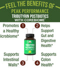 Corebiome Tributyrin Postbiotic Supplement Clinically Tested For Gut Health. More Effective Than Sodium Butyrate Capsules. High