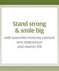 Natural Factors Calcium Magnesium Citrate with Vitamin D3 Support for Bones and Teeth 180 Tablets