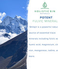 Holistic Bin Raw Shilajit Powder Himalayan Wildcrafted, Full Spectrum Extract | 100% Pure Organic Shilajit - No Fillers | Rich in Fulvic and Trace Minerals (25 Servings)