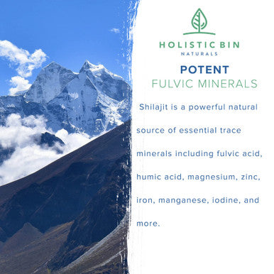 Holistic Bin Raw Shilajit Powder Himalayan Wildcrafted, Full Spectrum Extract | 100% Pure Organic Shilajit - No Fillers | Rich in Fulvic and Trace Minerals (25 Servings)