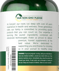 Carlyle Organic Spirulina Tablets 3500mg | 500 Count | Non-GMO & Gluten
