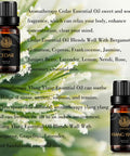Aromatherapy Ylang Ylang Essential Oil Set for Diffuser, 100% Pure Cedar Essential Oil Kit for Humidifier, 2x10ml Therapeutic Grade Cedar Essential Oils Set - Ylang Ylang & Cedar Oils for Massage,Home
