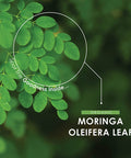 Organic Moringa 1200mg | Raw Moringa Oleifera Leaf | Rich in Vitamins, Antioxidants & Amino Acid | Non-GMO, Gluten | 60 Vegan Capsules