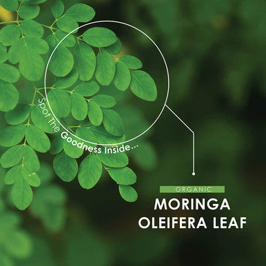 Organic Moringa 1200mg | Raw Moringa Oleifera Leaf | Rich in Vitamins, Antioxidants & Amino Acid | Non-GMO, Gluten | 60 Vegan Capsules