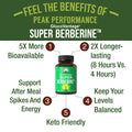 Super Berberine Supplement - Dihydroberberine GlucoVantage Now 5X More Effective Than Regular Berberine Powder Capsules. for Metabolism Support. Keto Friendly Plus Vegan Berberine Extract Pills