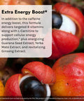 Irwin Naturals Extra-Energy Thermo-Fuel Max Fat Burner - 100 Liquid Soft-Gels - Fuel Thermogenesis & Boost Energy Production - With Green Tea L-Carnitine & Garcinia - 33 Servings