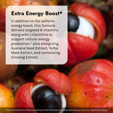 Irwin Naturals Extra-Energy Thermo-Fuel Max Fat Burner - 100 Liquid Soft-Gels - Fuel Thermogenesis & Boost Energy Production - With Green Tea L-Carnitine & Garcinia - 33 Servings