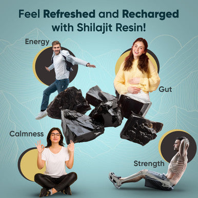 Weightworld n Shilajit Resin 50g | 2+ Months Supply | 800mg | High Levels of Fulvic Acid Humic Acid & Withanolides for Energy | with Ashwagandha Turmeric & Black Musli | Vegan Shilajit Resin n