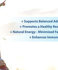 ADRENA-MAXX - Natural Adrenal Supplement, 45Day Supply- Fatigue Relief, Supports Adrenal Function, Stress Response, Enhanced Energy - Pure, Organic Ingredients -... from Purely benefical