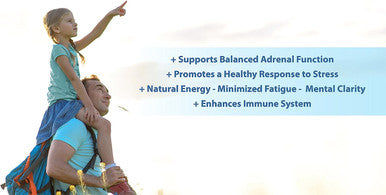 ADRENA-MAXX - Natural Adrenal Supplement, 45Day Supply- Fatigue Relief, Supports Adrenal Function, Stress Response, Enhanced Energy - Pure, Organic Ingredients -... from Purely benefical