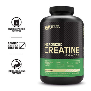 Optimum Nutrition 100% Gold Standard Whey Protein Powder: Double Rich Chocolate (5 Pound) With Micronized Creatine Monohydrate Powder Unflavored (120 Servings) - Bundle Pack