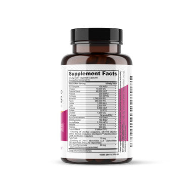 healblend Digest + Postbiotics Supplement for Women and Men Multi Enzymes Organic Prebiotic & Probiotic for Digestive Health with Bromeline Papin and Lipase Non-GMO Gluten-Free 60 Vegetarian Caps