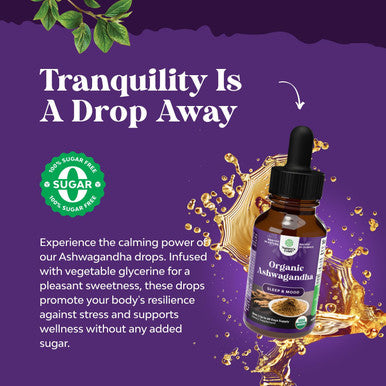 Natures Craft USDA Organic Ashwagandha Liquid Drops - Vegan Liquid Ashwagandha Root Extract for Energy Stress and Mood Support - Delicious Adaptogenic Pure Ashwagandha Tincture for Adults - Non-GMO & Alcohol