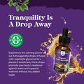 Natures Craft USDA Organic Ashwagandha Liquid Drops - Vegan Liquid Ashwagandha Root Extract for Energy Stress and Mood Support - Tasty Adaptogenic Pure Ashwagandha Tincture for Adults & Kids Non-GMO & Alcohol