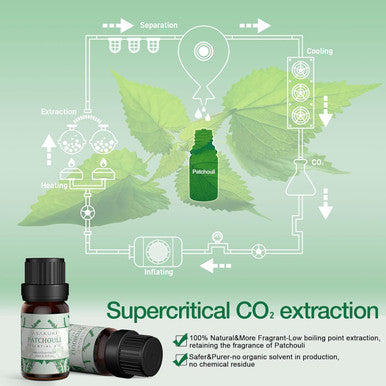 Asakuki Patchouli Essential Oil 10Ml, Perfect For Aromatherapy, Diffusers, Humidifier, Bath