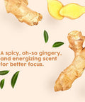 Hana Ginger Essential Oil - Relieves Muscle Aches and Renew Lymphatic Flow - For Therapeutic Massages - 100 Pure Therapeutic Grade For Aromatherapy and Topical Use - 30ml