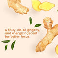 Hana Ginger Essential Oil - Relieves Muscle Aches and Renew Lymphatic Flow - For Therapeutic Massages - 100 Pure Therapeutic Grade For Aromatherapy and Topical Use - 30ml