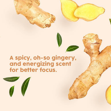 Hana Ginger Essential Oil - Relieves Muscle Aches and Renew Lymphatic Flow - For Therapeutic Massages - 100 Pure Therapeutic Grade For Aromatherapy and Topical Use - 30ml